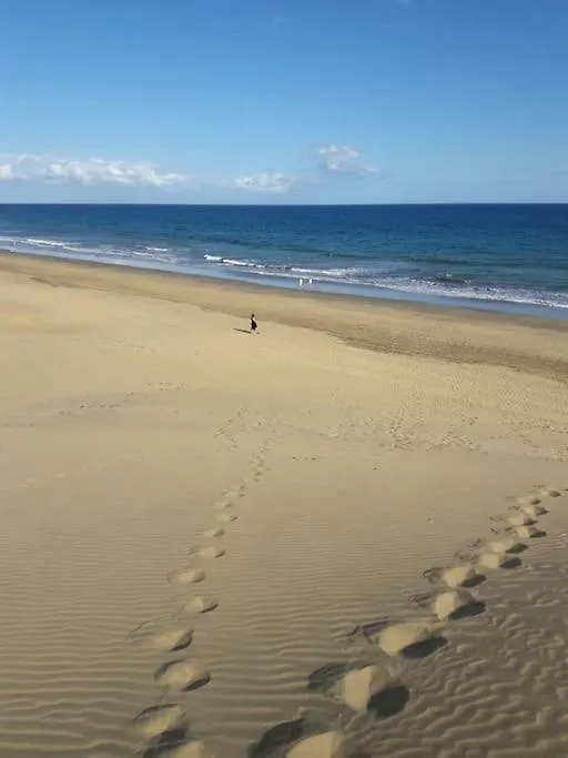 Playa Del Ingles: Beautiful Renovated Apartment San Bartolome de Tirajana  Spain
